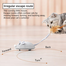 Load image into Gallery viewer, Smart Sensing Mouse Cat Toys Interactive Electric Stuffed Toy Cat Teaser Self-Playing USB Charging Kitten Mice Toys for Cats Pet Supplies

