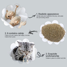Load image into Gallery viewer, 3pcs/lot Mix Pet Catnip Mouse Cats Toys Chewing Biting Teething Plush Toys Kitten Playing Mice Toys Pet Supplies
