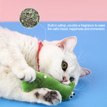 Load image into Gallery viewer, Cute Animal Shape Catnip Cats Toy Kitten Dinosaur Teeth Chewing Biting Plush Toys Cat Plush Thumb Pillow Pet Accessories
