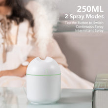 Load image into Gallery viewer, 250ML Mini Air Humidifier with LED Light Essential Oil Diffuser USB Mist Maker Car Air Freshener for Bedroom Office
