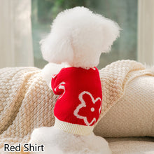 Load image into Gallery viewer, Puppy Hand-painted Flowers Couples Sweater Autumn and Winter Warm Teddy Clothes Than Bear Dress Knitted Dog Clothes XS-XL
