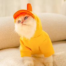 Load image into Gallery viewer, Pet Clothes Cute Chicken Bear Costume Clothing For Cats Dog Teddy Dog Clothes Shirt Animals Costume Pet Supplies
