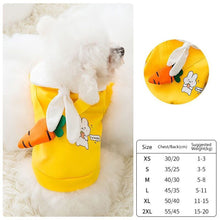Load image into Gallery viewer, Winter Cartoon Dog Clothes Cute Bow Tie Satchel Pet Clothing for Small Dogs Puppy Cat Costumes Coat Warm Plush Sweater Chihuahua
