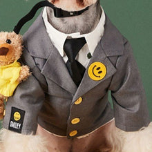 Load image into Gallery viewer, Pet Clothes Spring and Winter Coats Suit Pet Clothing for Small Dogs Puppy Cat Costumes Coat Warm Plush Sweater Chihuahua
