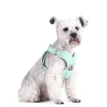 Load image into Gallery viewer, Dog Chest Reflector Strap Traction Rope Vests Dog Chains Dog Ropes collars X type Pet Collar Adjustable Soft Comfort Pet Product
