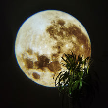 Load image into Gallery viewer, USB Starry Projector 2 In 1Moon Earth Projector Lamp 360° Rotatable Bracket Led Night Light Wall Light Planet Projection Lamp

