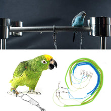 Load image into Gallery viewer, 4M/5M/6M/8M/10M Pet Bird Parrot Flying Rope Cockatiels Starling Bird Pet Leash Kits Anti-bite Outdoor Flying Traction Straps Training Rope
