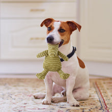 Load image into Gallery viewer, Dog Puppy Plush Toys Pets Chew Toy Animal Shape Squeak Cleaning Toys for Small Medium Dog Accessories Pet Training Supplies
