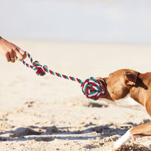 Load image into Gallery viewer, Dog Puppy Double Knot Chew Rope Knot Toys Chirstmas Pet Clean Teeth Durable Braided Bone Rope Pet Molar Toy Pet Supplies
