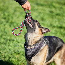 Load image into Gallery viewer, Dog Puppy Double Knot Chew Rope Knot Toys Chirstmas Pet Clean Teeth Durable Braided Bone Rope Pet Molar Toy Pet Supplies
