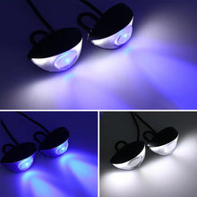 Load image into Gallery viewer, Pair LED Motorcycle Accessories Eagle Light Waterproof Belt With Bracket
