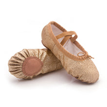 Load image into Gallery viewer, Glitter Pink Ballet Dance Shoes Yoga Gym Flat Slippers Ballet Dance Shoes For Girls Children Women
