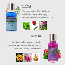 Load image into Gallery viewer, 10ML Car Air Freshener Car Outlet Perfume Replenishment Aromatherapy Oil Natural Plant Essential Conditioning Air Vent Perfume
