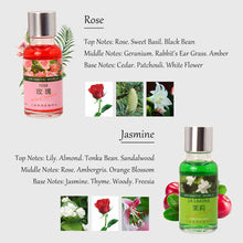 Load image into Gallery viewer, 10ML Car Air Freshener Car Outlet Perfume Replenishment Aromatherapy Oil Natural Plant Essential Conditioning Air Vent Perfume
