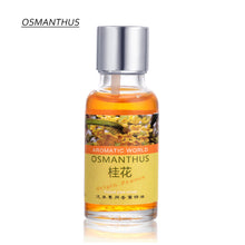 Load image into Gallery viewer, 10ML Car Air Freshener Car Outlet Perfume Replenishment Aromatherapy Oil Natural Plant Essential Conditioning Air Vent Perfume
