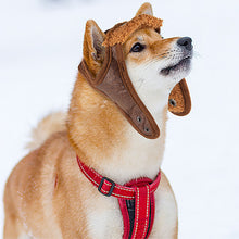 Load image into Gallery viewer, Cute Pet Dog Aviator Cap Funny Costume Cosplay Hat Autumn Winter Windproof Motorcycle Pilot Hat for Small Medium Large Dogs
