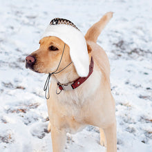 Load image into Gallery viewer, Super Soft Winter Pet Snow Cap Windproof Dog Headwear Keep Warm Outdoor Pet Dog Winter Hat with Ear Cover Pet Supplies
