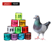 Load image into Gallery viewer, 10/50Pcs 2023 Years Pigeons Foot Ring 8x11mm Pigeons Foot Ring Parrots Leg Rings Birds Training Tool with Nnumbers

