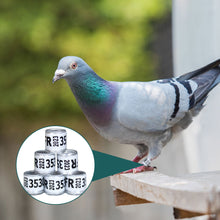 Load image into Gallery viewer, 10/50Pcs 2023 Years Pigeons Foot Ring 8x11mm Pigeons Foot Ring Parrots Leg Rings Birds Training Tool with Nnumbers
