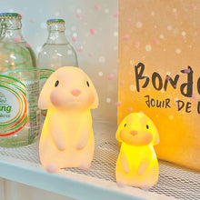Load image into Gallery viewer, Vinyl Night Light Bedroom Decor Lights Button Battery Powered Cartoon Animal Lamps Xmas Christmas Decorations for Home Bedroom Birthday Wedding Kids Gifts
