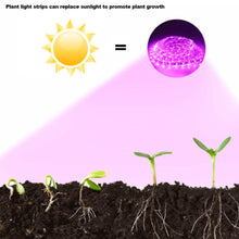 Load image into Gallery viewer, 5V USB LED Grow Light Strip Full Spectrum Phytolamp Plant Light Strip Plants Flower Greenhouse Hydroponic Light Equipments
