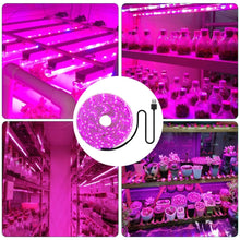 Load image into Gallery viewer, 5V USB LED Grow Light Strip Full Spectrum Phytolamp Plant Light Strip Plants Flower Greenhouse Hydroponic Light Equipments
