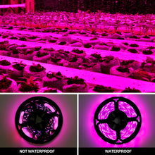 Load image into Gallery viewer, 5V USB LED Grow Light Strip Full Spectrum Phytolamp Plant Light Strip Plants Flower Greenhouse Hydroponic Light Equipments
