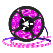 Load image into Gallery viewer, 5V USB LED Grow Light Strip Full Spectrum Phytolamp Plant Light Strip Plants Flower Greenhouse Hydroponic Light Equipments
