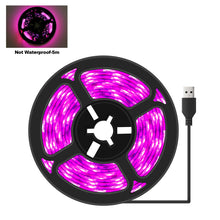 Load image into Gallery viewer, 5V USB LED Grow Light Strip Full Spectrum Phytolamp Plant Light Strip Plants Flower Greenhouse Hydroponic Light Equipments
