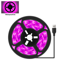 Load image into Gallery viewer, 5V USB LED Grow Light Strip Full Spectrum Phytolamp Plant Light Strip Plants Flower Greenhouse Hydroponic Light Equipments
