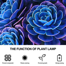 Load image into Gallery viewer, USB 5V LED Grow Light Full Spectrum Red Blue Phyto Grow Lamp Indoor Phytolamp For Plants Flowers Seedling Greenhouse Fitolampy
