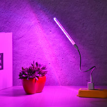 Load image into Gallery viewer, USB 5V LED Grow Light Full Spectrum Red Blue Phyto Grow Lamp Indoor Phytolamp For Plants Flowers Seedling Greenhouse Fitolampy
