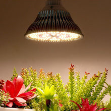 Load image into Gallery viewer, 200LED Phyto Lamp Bulb Full Spectrum LED Grow Bulb E27 AC85-265V Plant Light Phytolamp LED Fitolampy For Indoor Seedlings Flowers Grow Tent

