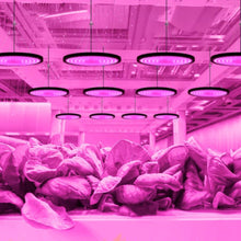 Load image into Gallery viewer, 100 150 200W Full Spectrum LED Grow Light 110V 220V Plant Growing Light Phytolamp Bulb For Indoor Plants Flower Seedling
