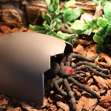 Load image into Gallery viewer, Aquarium Decoration Reptile Hiding Cave Animal Pet Case Egg Shell Hideouts Decoration For Turtle Lizard Snake Reptile Amphibian Supplies
