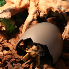Load image into Gallery viewer, Aquarium Decoration Reptile Hiding Cave Animal Pet Case Egg Shell Hideouts Decoration For Turtle Lizard Snake Reptile Amphibian Supplies
