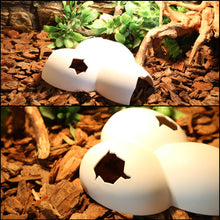 Load image into Gallery viewer, Aquarium Decoration Reptile Hiding Cave Animal Pet Case Egg Shell Hideouts Decoration For Turtle Lizard Snake Reptile Amphibian Supplies
