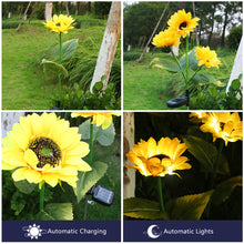 Load image into Gallery viewer, Solar Sunflowers Outside Garden Lawn Light IP65 Waterproof Solar Flowers Pathway Light for Patio Yard Wedding Holiday Decoration
