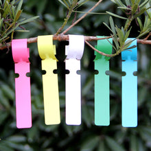 Load image into Gallery viewer, 100PCS Gardening Plant Nursery Hang Tag Plastic Identification Card Waterproof Ring Set Reusable Label Markers Garden Tool
