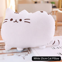 Load image into Gallery viewer, 25cm/40cm Kawaii Cat Pillow With Zipper Only Skin Without PP Cotton Biscuits Cat Plush Pillow Doll Cushion Children Gift Toys
