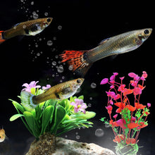 Load image into Gallery viewer, Simulation Aquarium Plants Artificial Underwater Weeds Fish Tank Decoration Reptile Box Aquarium Ornaments Accessories
