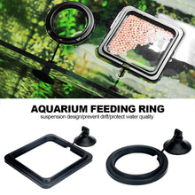 Load image into Gallery viewer, Black Aquarium Feeding Ring Fish Tank Floating Food Tray Feeder Square Circle Accessory Fish Food Feeder Suction Cup
