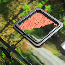 Load image into Gallery viewer, Black Aquarium Feeding Ring Fish Tank Floating Food Tray Feeder Square Circle Accessory Fish Food Feeder Suction Cup
