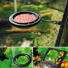 Load image into Gallery viewer, Black Aquarium Feeding Ring Fish Tank Floating Food Tray Feeder Square Circle Accessory Fish Food Feeder Suction Cup
