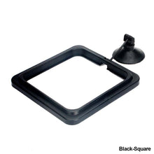 Load image into Gallery viewer, Black Aquarium Feeding Ring Fish Tank Floating Food Tray Feeder Square Circle Accessory Fish Food Feeder Suction Cup
