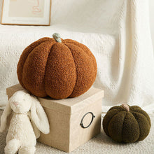 Load image into Gallery viewer, Winter Warm Pumpkin Plush Throw Pillow Soft Plant Sunflower Chair Cushion Living Bedroom Sofa Cushions Home Decoration Birthday Gifts
