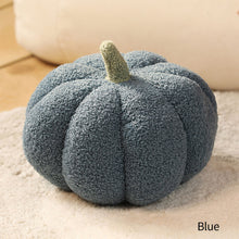 Load image into Gallery viewer, Winter Warm Pumpkin Plush Throw Pillow Soft Plant Sunflower Chair Cushion Living Bedroom Sofa Cushions Home Decoration Birthday Gifts
