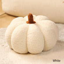 Load image into Gallery viewer, Winter Warm Pumpkin Plush Throw Pillow Soft Plant Sunflower Chair Cushion Living Bedroom Sofa Cushions Home Decoration Birthday Gifts
