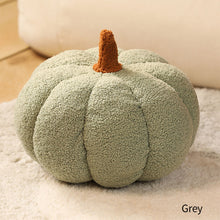 Load image into Gallery viewer, Winter Warm Pumpkin Plush Throw Pillow Soft Plant Sunflower Chair Cushion Living Bedroom Sofa Cushions Home Decoration Birthday Gifts

