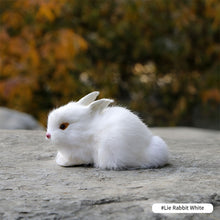 Load image into Gallery viewer, Simulation Chick Rabbit Plush Toy Children Cognition Chicken Model Figurine Realistic Furry Animal Doll Chicken Easter Gift Kids
